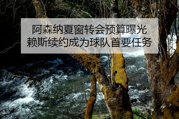 a-sen-na-xia-chuang-zhuan-hui-yu-suan-bao-guang-lai-si-xu-yue-cheng-wei-qiu-dui-shou-yao-ren-wu-2-328.jpg