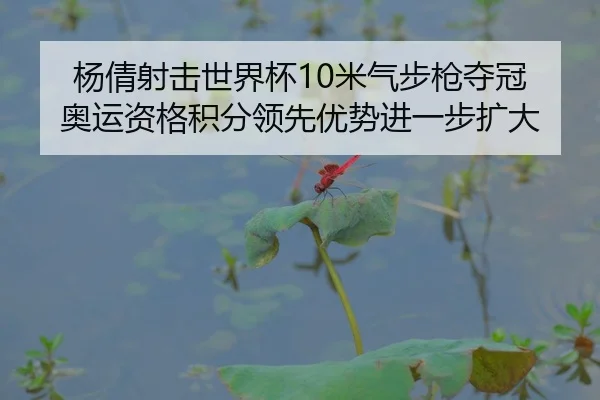 杨倩射击世界杯10米气步枪夺冠 奥运资格积分领先优势进一步扩大
